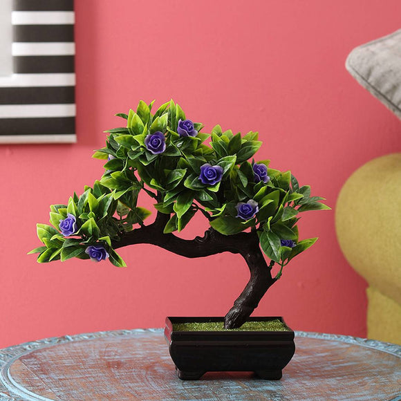 Bent Bonsai Tree